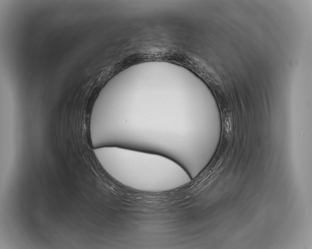 X0000110321204200905211158