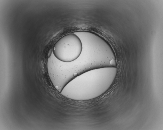 X0000110321205200905211158