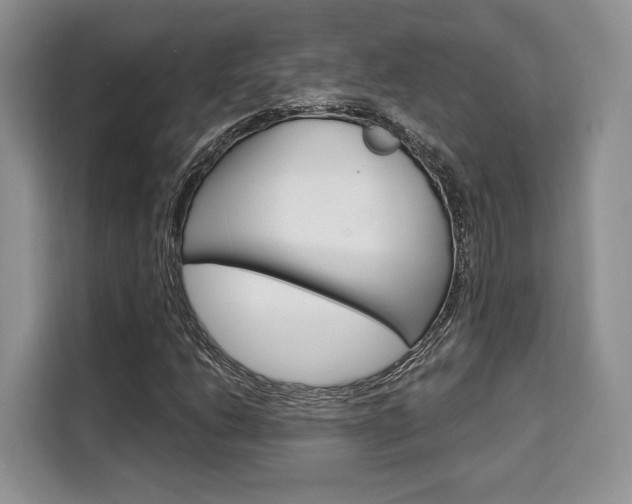 X0000110321206200905211158