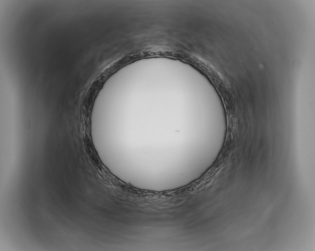 X0000110321207200905211158
