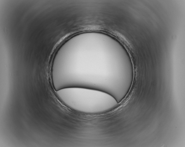 X0000110321212200905211158