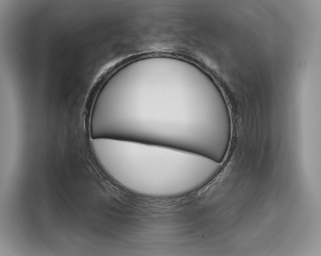 X0000110321214200905211158