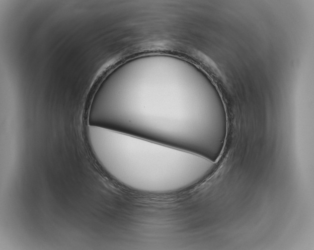 X0000110321218200905211159