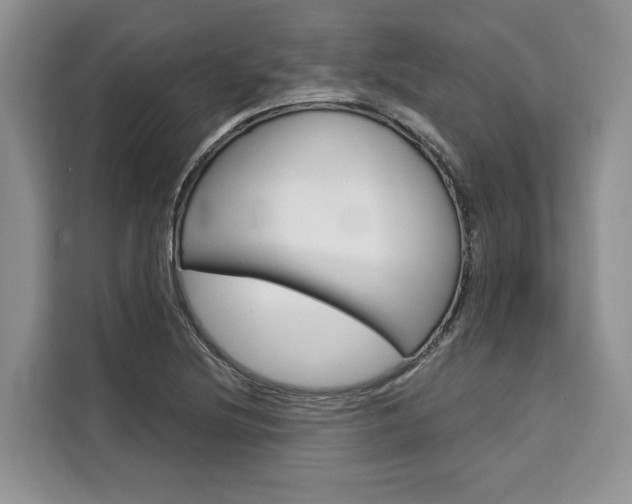 X0000110321220200905211159