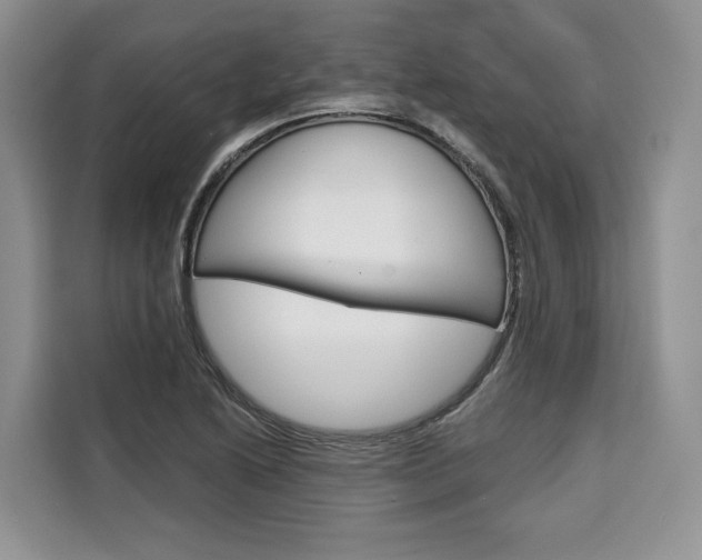 X0000110321222200905211159