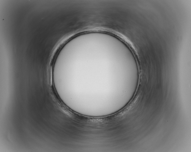 X0000110321223200905211159