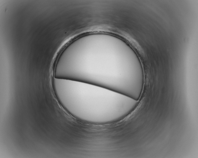 X0000110321224200905211159