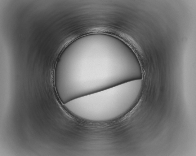 X0000110321225200905211159