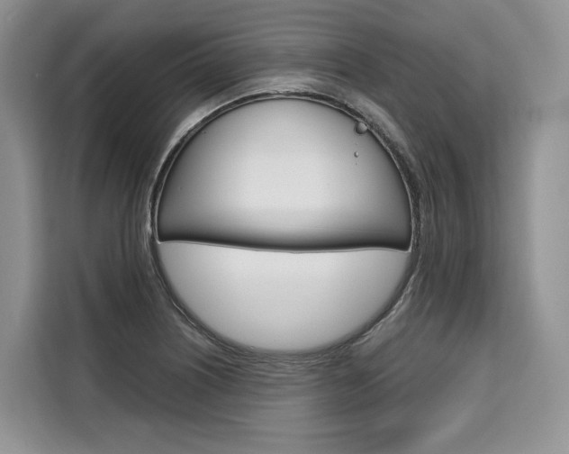 X0000110321226200905211159
