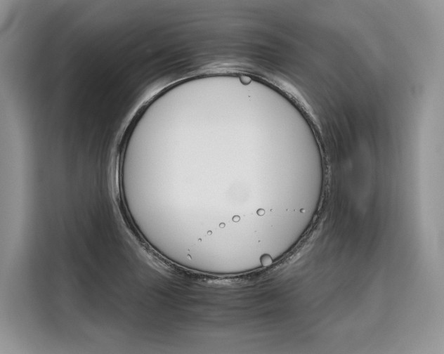 X0000110321227200905211159
