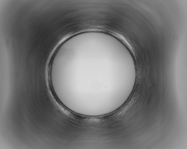 X0000110321235200905211159