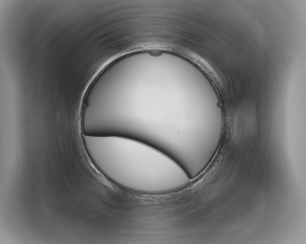 X0000110321236200905211159