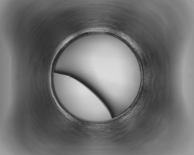X0000110321237200905211159
