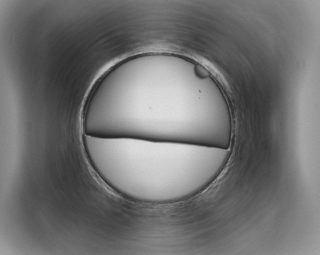 X0000110321238200905211159