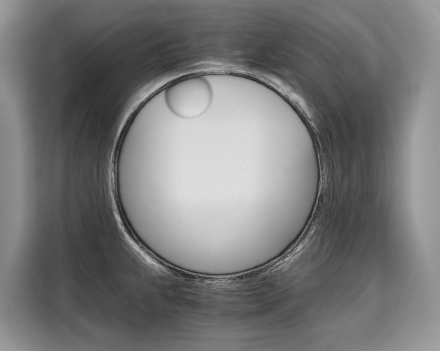 X0000110321239200905211159
