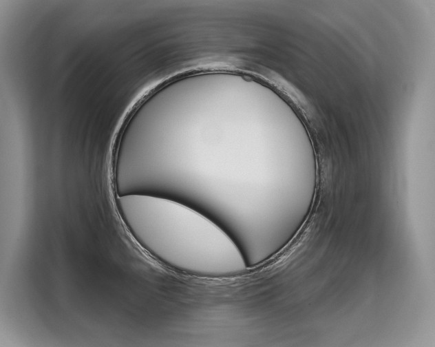 X0000110321240200905211159