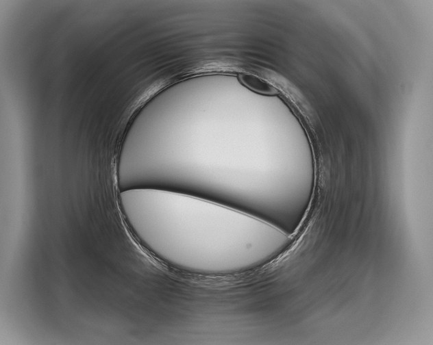 X0000110321241200905211159