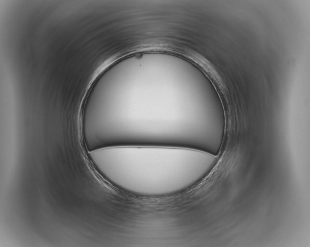 X0000110321242200905211159