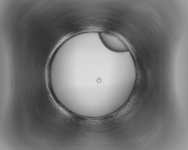 X0000110321243200905211159