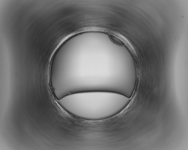 X0000110321244200905211159