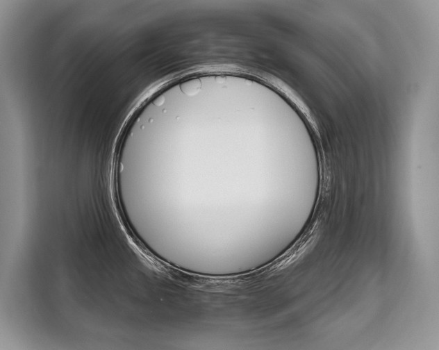 X0000110321245200905211159