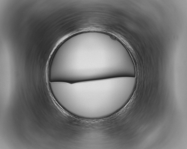X0000110321246200905211159