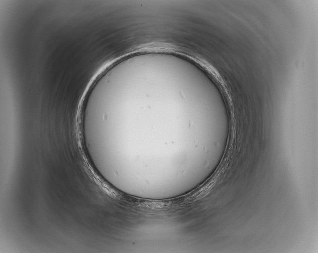 X0000110321248200905211159