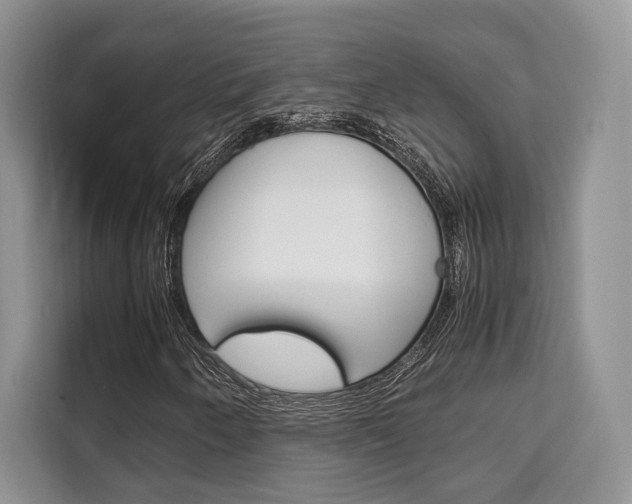 X0000110321250200905211158