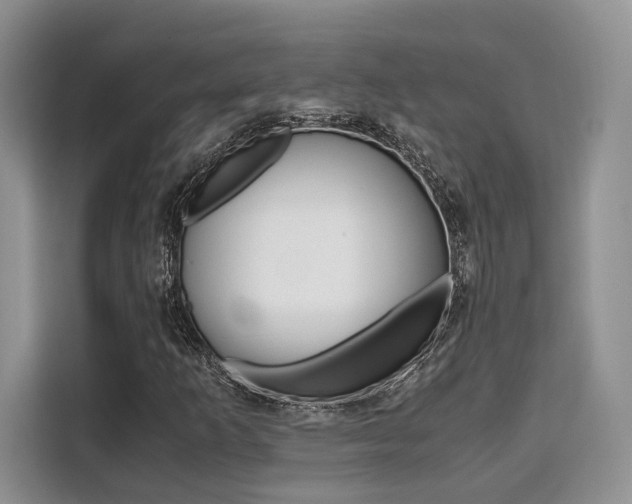 X0000110321253200905211158