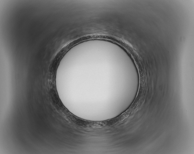 X0000110321255200905211158