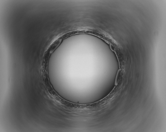 X0000110321256200905211158