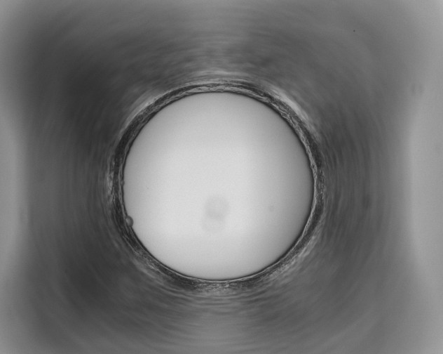 X0000110321259200905211158