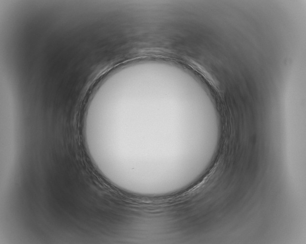 X0000110321261200905211158