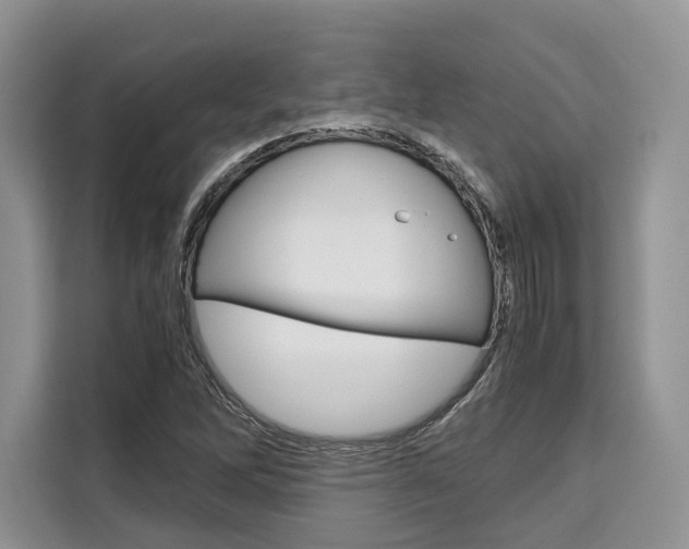 X0000110321262200905211158