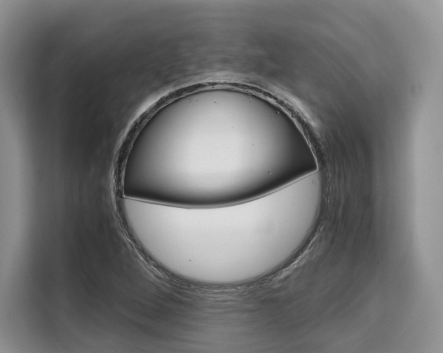X0000110321264200905211158