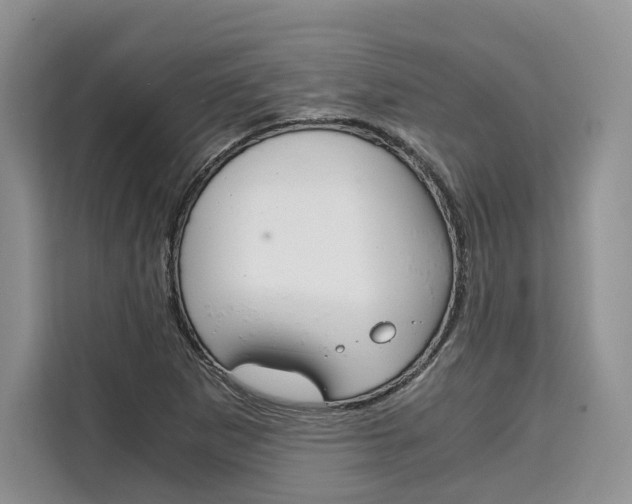 X0000110321265200905211158