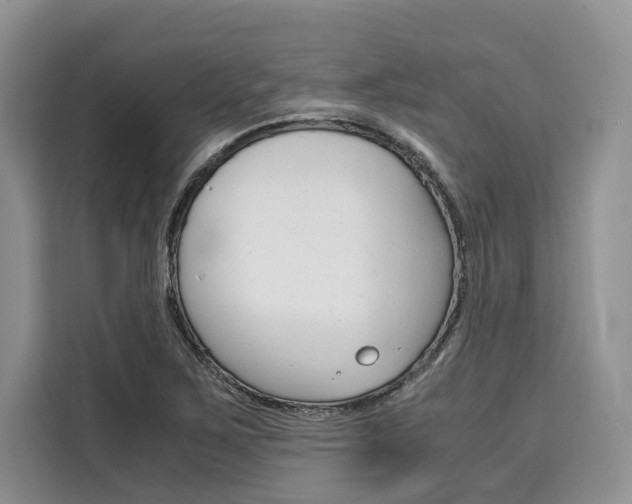 X0000110321267200905211158