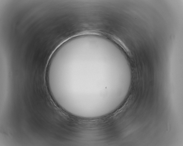 X0000110321268200905211158