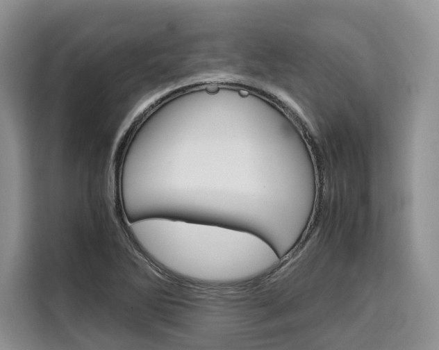 X0000110321270200905211158