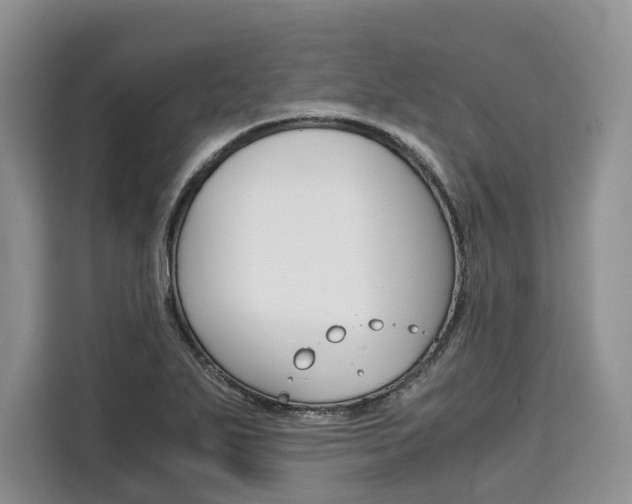 X0000110321271200905211158