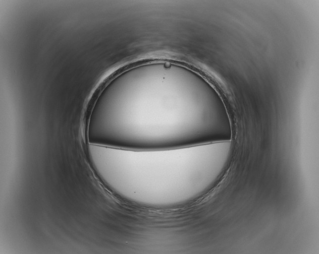 X0000110321272200905211158