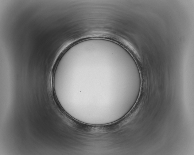 X0000110321275200905211158