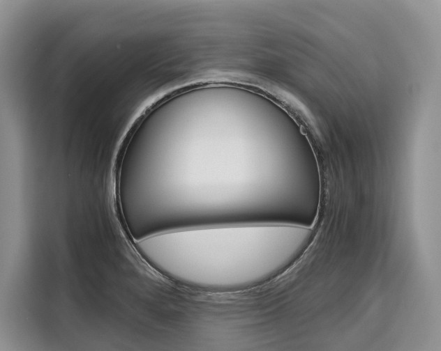 X0000110321280200905211158