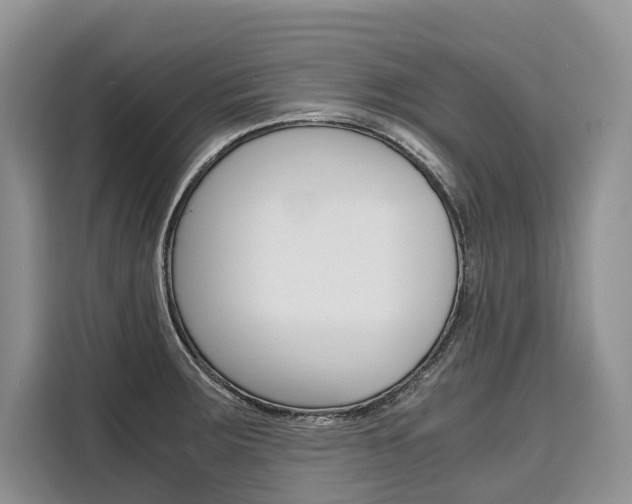 X0000110321283200905211158
