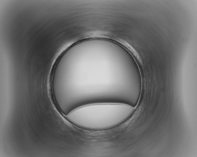 X0000110321285200905211158