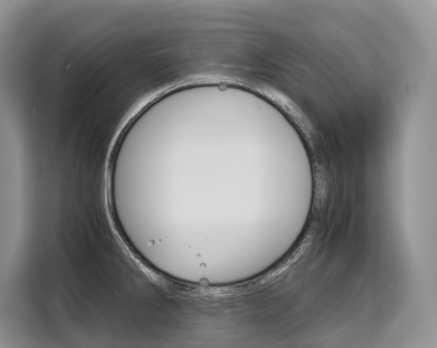 X0000110321286200905211158