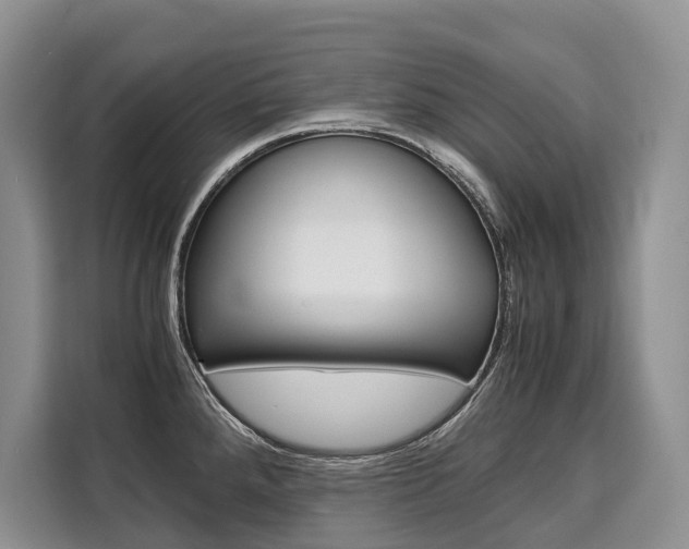 X0000110321288200905211158