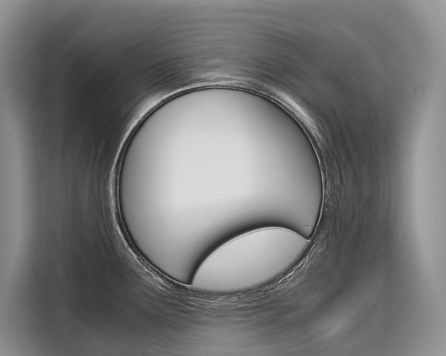 X0000110321291200905211158