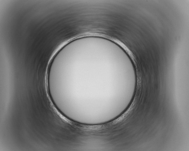 X0000110321294200905211158