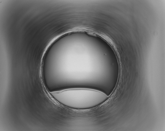 X0000110321296200905211158